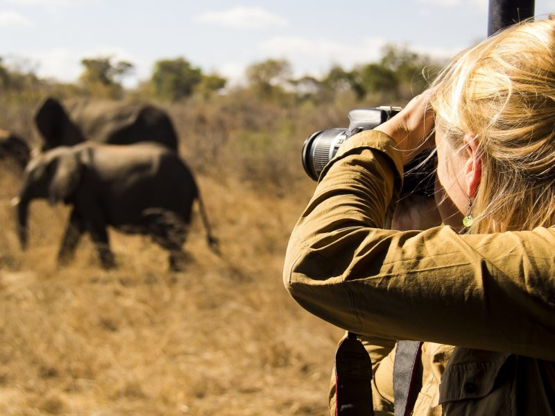 photographysafari2